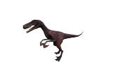 Raptor01.png