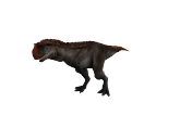Carno02.png