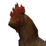 Курица из CS:GO для CS 1.6
